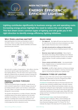 energy efficiency: efficient lighting