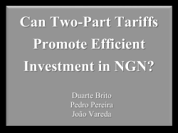 Fus&otilde;es Horizontais Principios Economicos