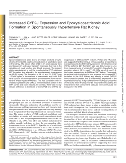 Increased CYP2J Expression and Epoxyeicosatrienoic Acid