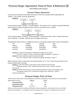 Pronoun Usage: Agreement, Point of View