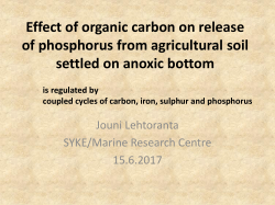 Effect of organic carbon on release of phosphorus from