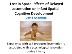 effects of delayed locomotion on infant spatial‐cognitive development