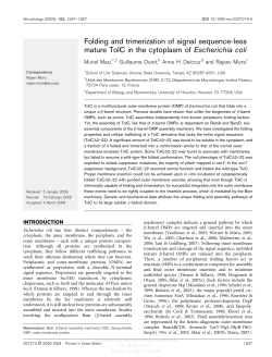 Folding and trimerization of signal sequence-less