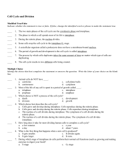 Cell Cycle and Division