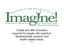 Create and offer innovative supports for people with cognitive