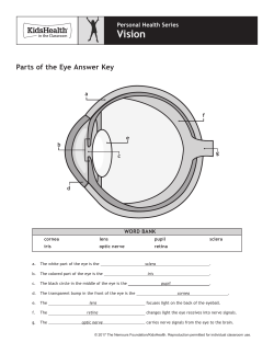 Handout: Vision - KidsHealth in the Classroom