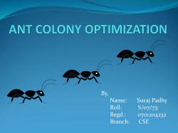ant colony optimization