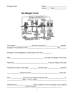 Nitrogen Cycle