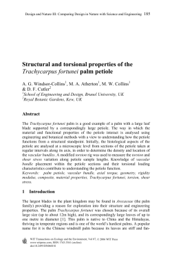 Structural and torsional properties of the Trachycarpus