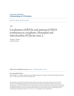 Localization of tRNAs and aminoacyl