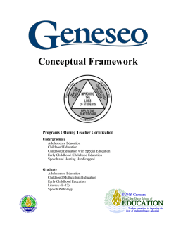 Conceptual Framework