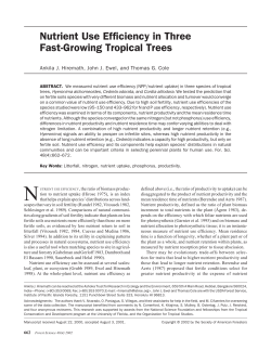Nutrient Use Efficiency in Three Fast-Growing Tropical Trees