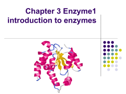 Enzyme Inhibition
