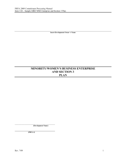 MBE WBE Enterprise and Section 3 Plan