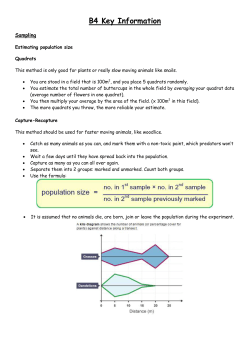 B4-Basic-Revision