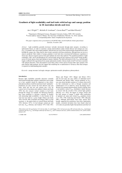 Gradients of light availability and leaf traits with
