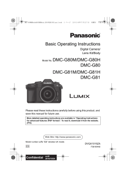 Basic Operating Instructions Model No. DMC-G80M/DMC