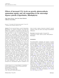 Effects of increased CO2 levels on growth
