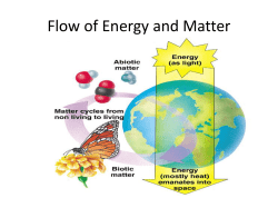 Flow of Energy and Matter