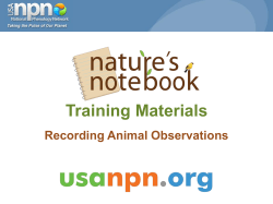 Record your observations of animals