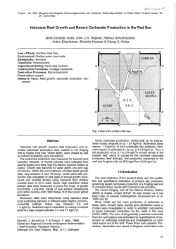 Holocene Reef Growth and Recent Carbonate Production in the