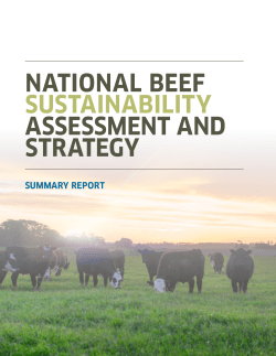 National Beef Sustainability Assessment and Strategy