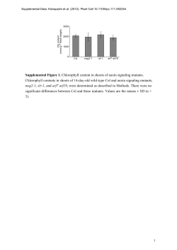 Supplemental Figure 1. Chlorophyll content in shoots of