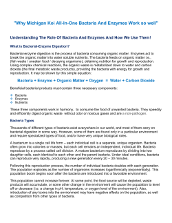 "Why Michigan Koi All-In-One Bacteria And Enzymes Work so well"
