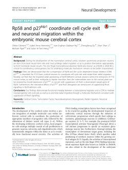 Rp58 and p27kip1 coordinate cell cycle exit and neuronal migration