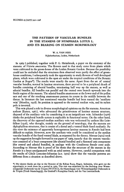 1969 I published, together Heinsbroek, a paper that study came from