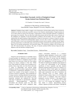 Extracellular Enzymatic Activity of Endophytic Fungal Strains