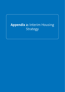Appendix 2: Interim Housing Strategy