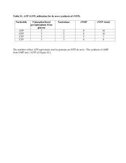 Table S1. ATP (GTP) utilization for de novo synthesis