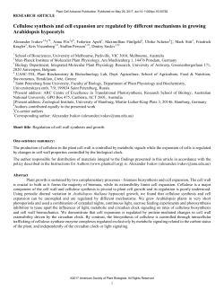 Cellulose synthesis and cell expansion are regulated by