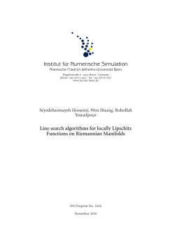 Line search algorithms for locally Lipschitz Functions on
