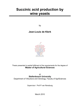Succinic acid production by wine yeasts