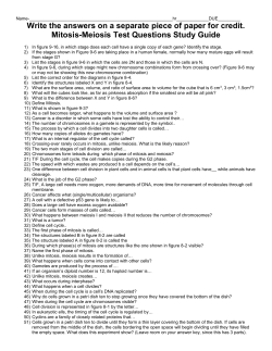 Mitosis Test Questions Study Guide