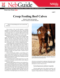 Creep Feeding Beef Calves - University of Nebraska&ndash;Lincoln