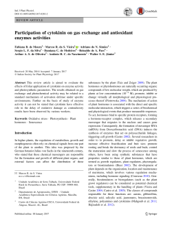 Participation of cytokinin on gas exchange and antioxidant enzymes