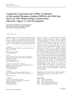 2012 Plant Mol Biol Rep EMS