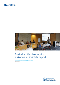 Deloitte Stakeholder Insights Report