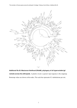 The evolution of Dscam genes across the arthropods
