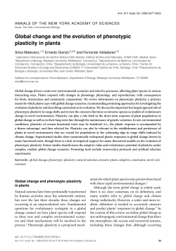 Global change and the evolution of phenotypic plasticity in plants