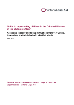 Children`s Court Criminal Division &ndash; guide to