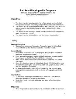 Lab #4 – Working with Enzymes