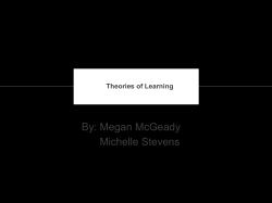 Theories of Learning