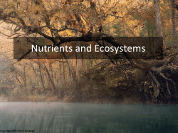 Nutrient Loads to the Land