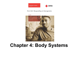 Body Systems