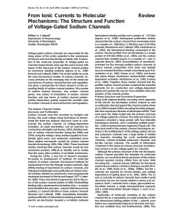 The Structure and Function of Voltage