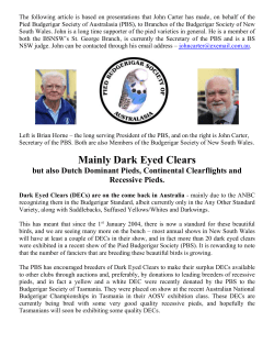 Mainly Dark Eyed Clears - Budgerigar Council of Victoria